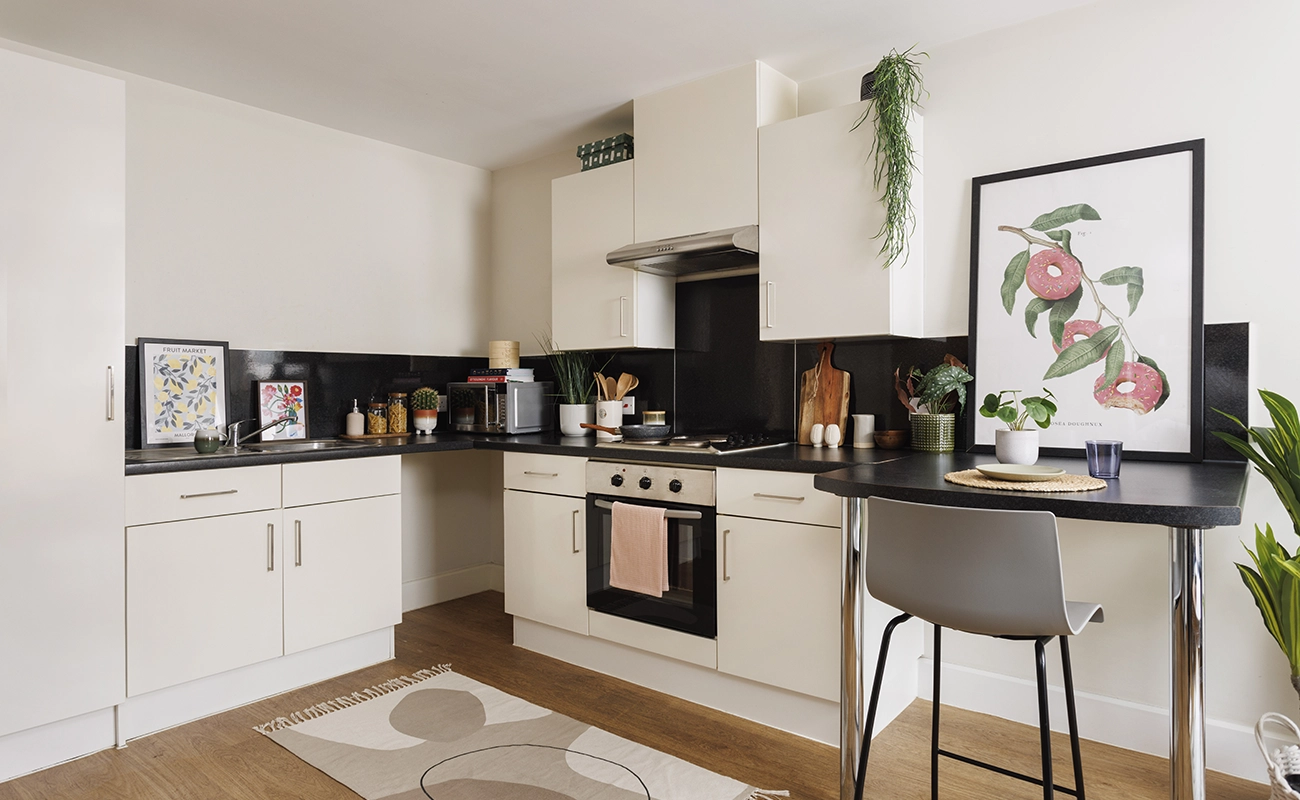 Kitchen in a One Bedroom Flat Classic
